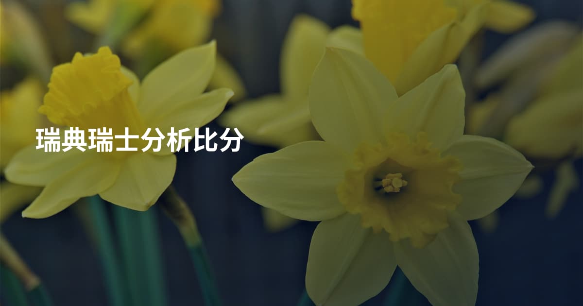 瑞典瑞士分析比分