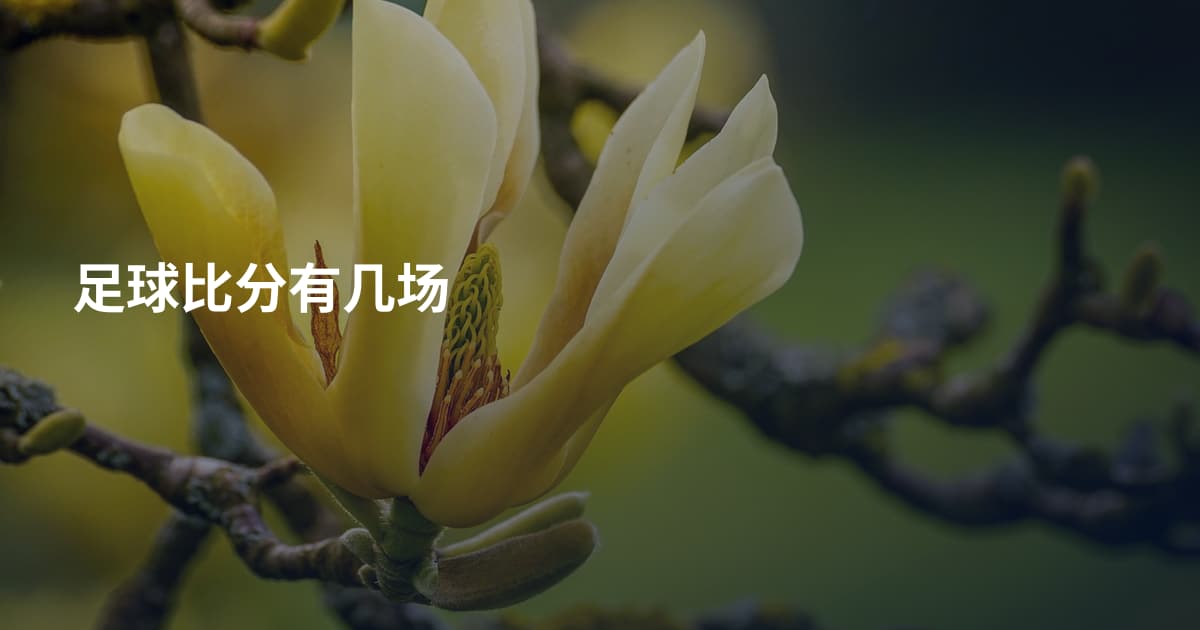 足球比分有几场