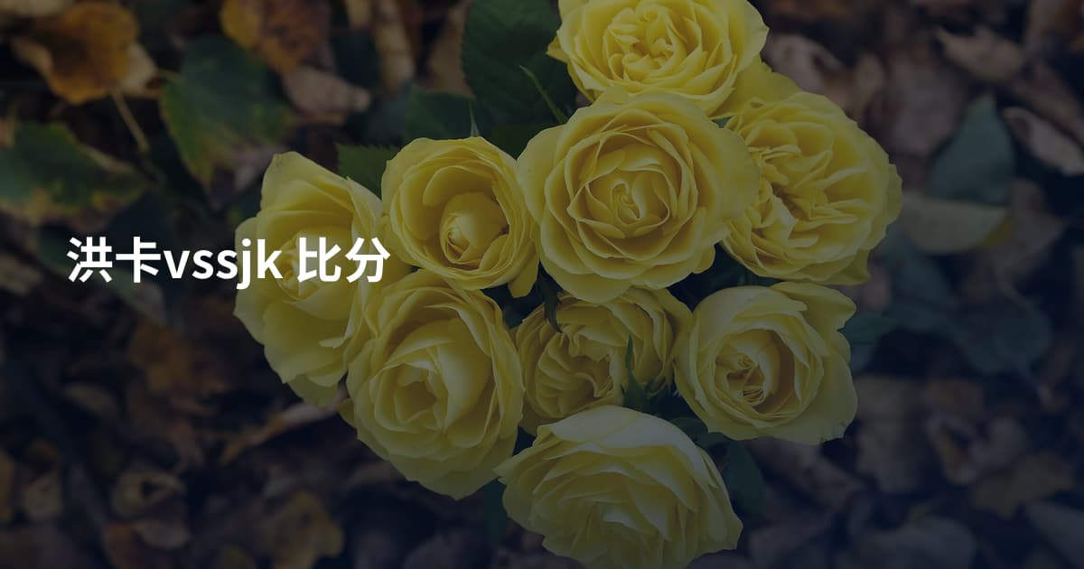 洪卡vssjk 比分