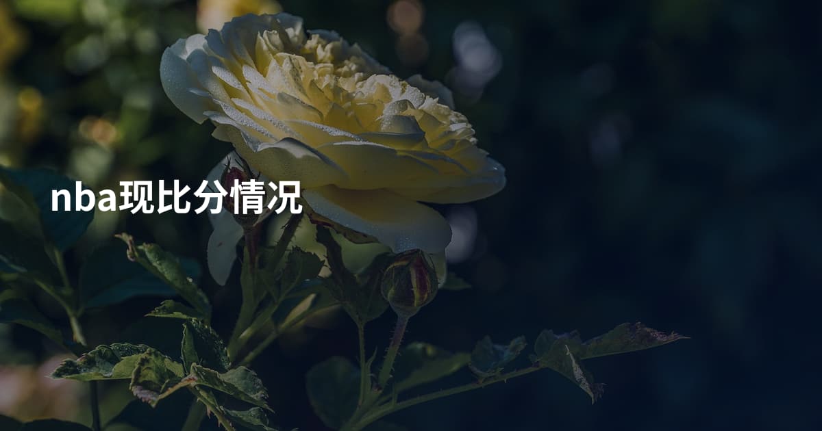 nba现比分情况