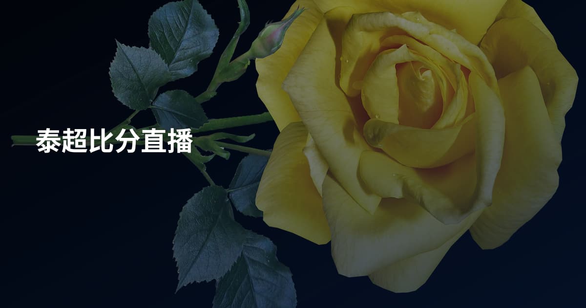 泰超比分直播