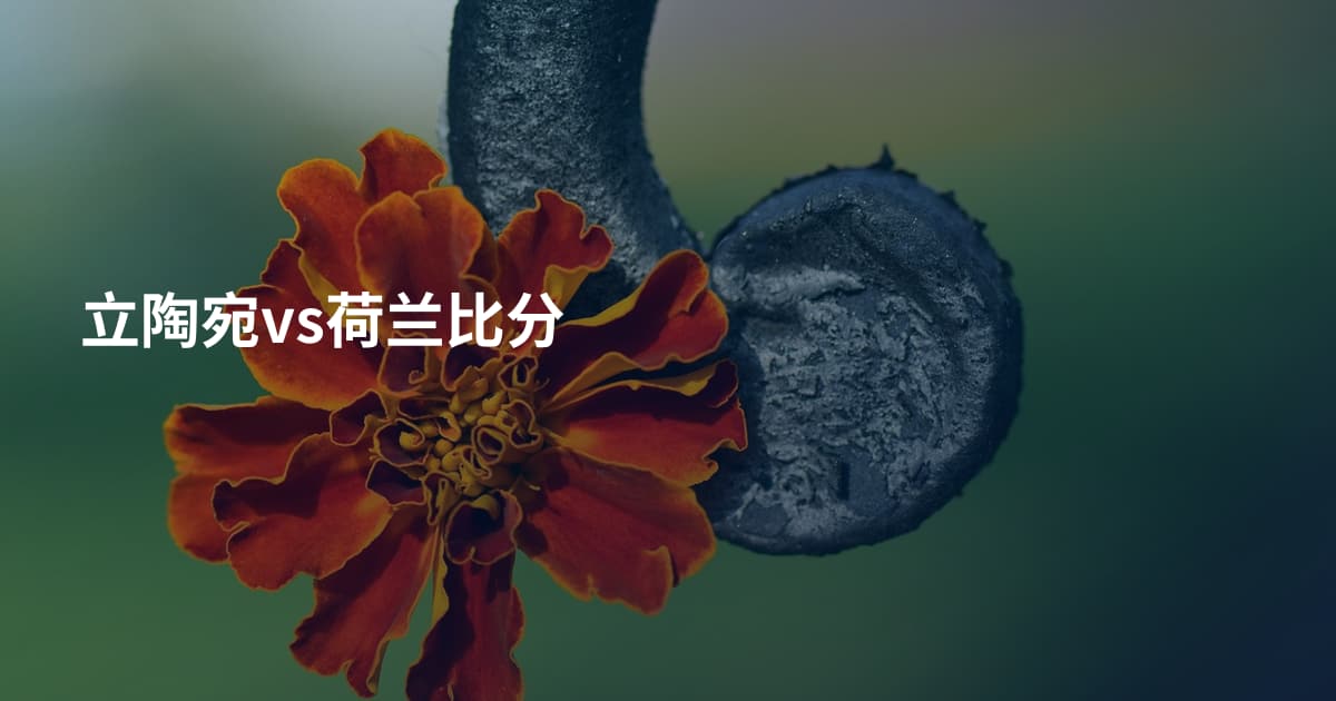 立陶宛vs荷兰比分