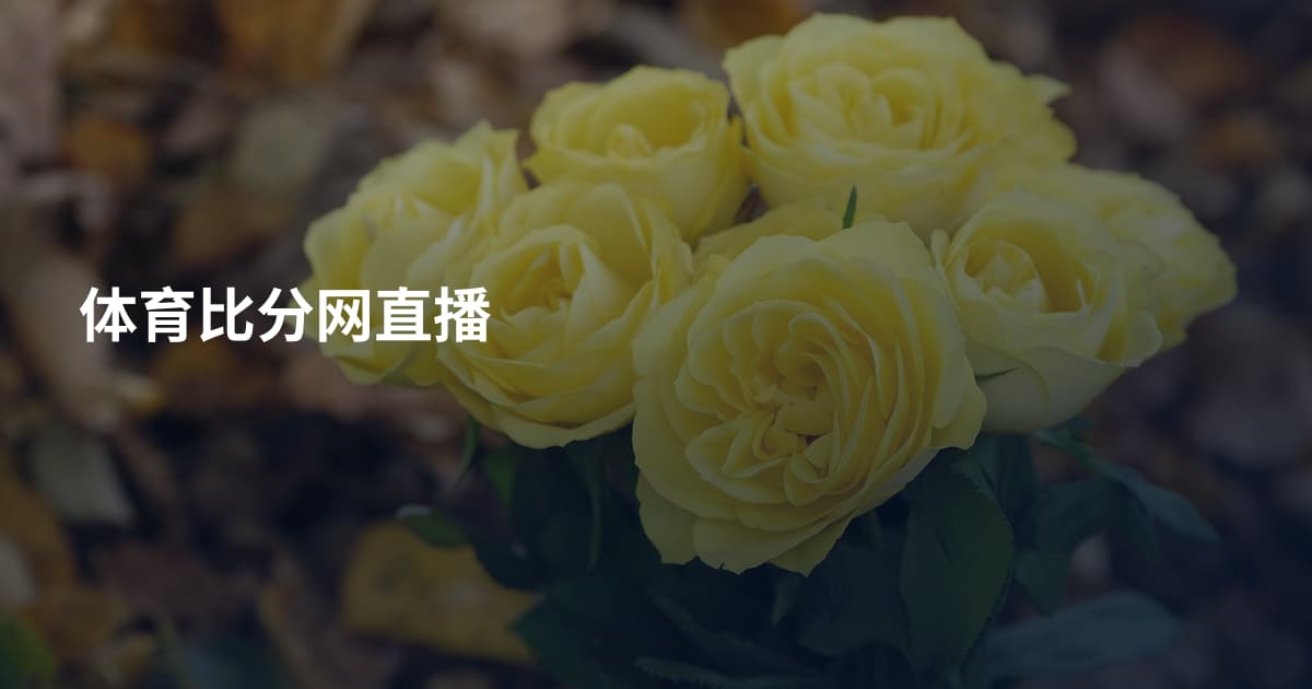 体育比分网直播