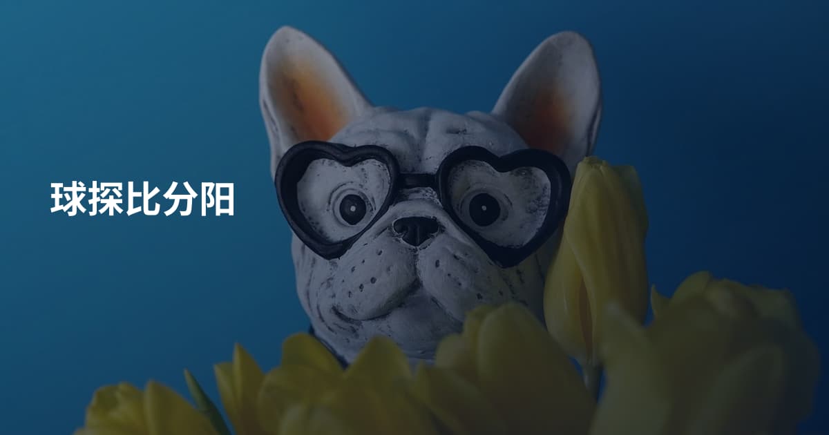 球探比分阳