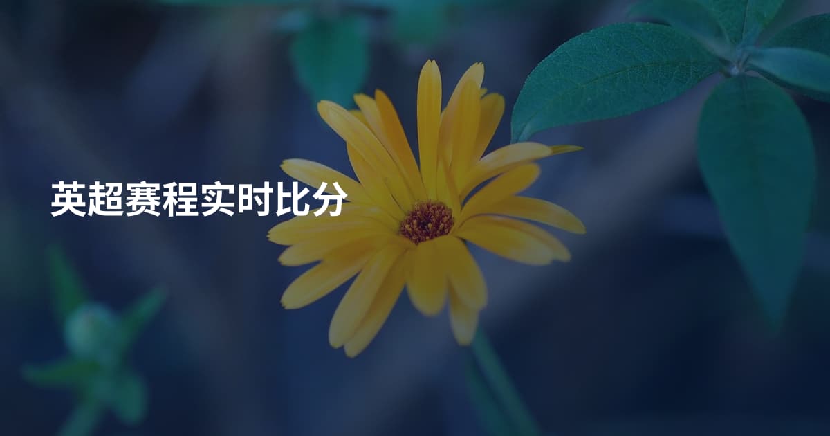 英超赛程实时比分