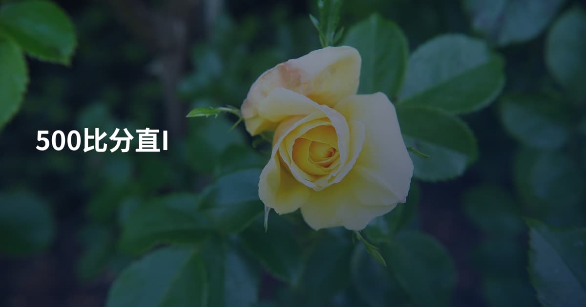 500比分直I