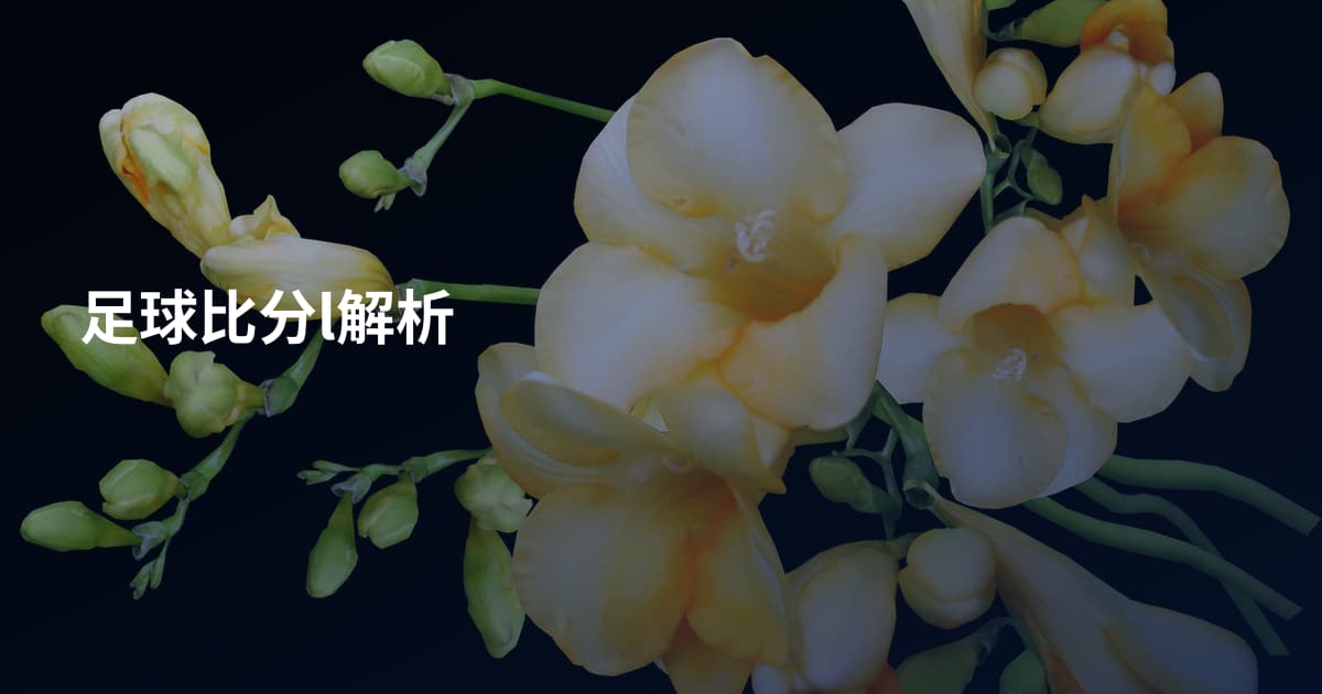 足球比分l解析