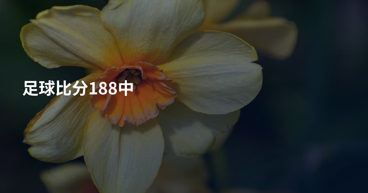足球比分188中