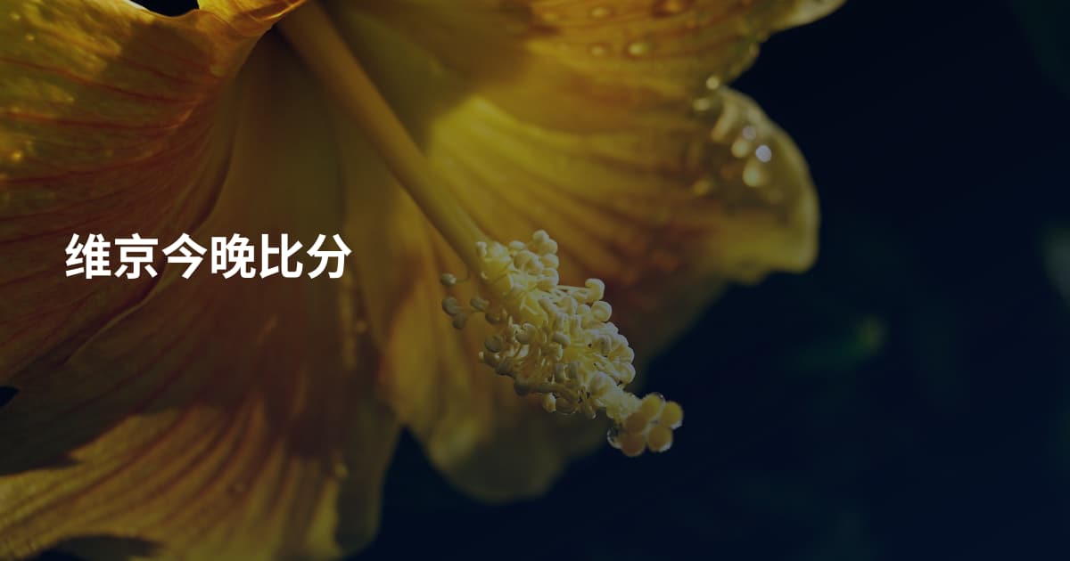 维京今晚比分