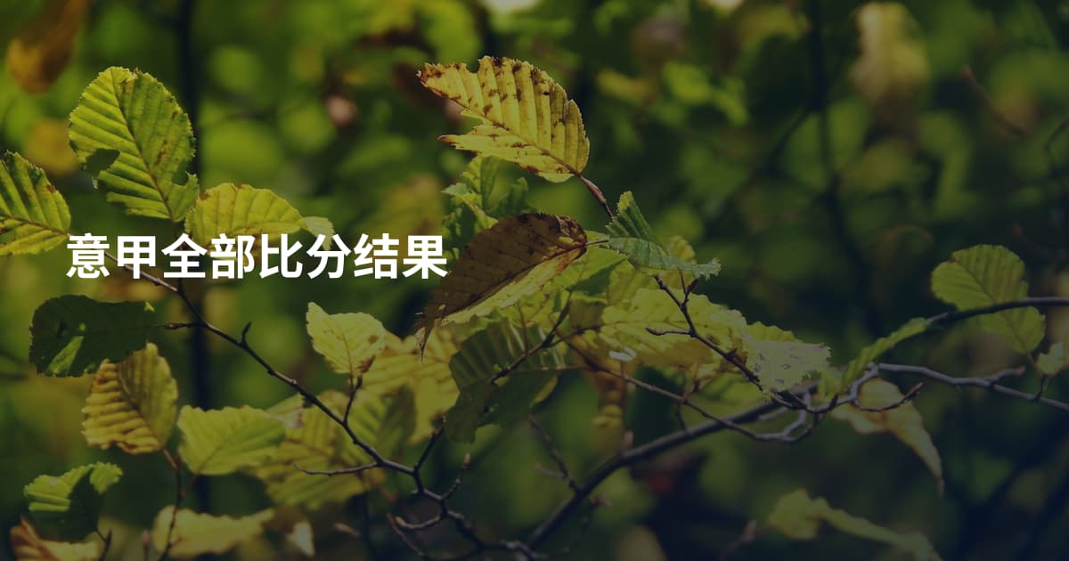 意甲全部比分结果