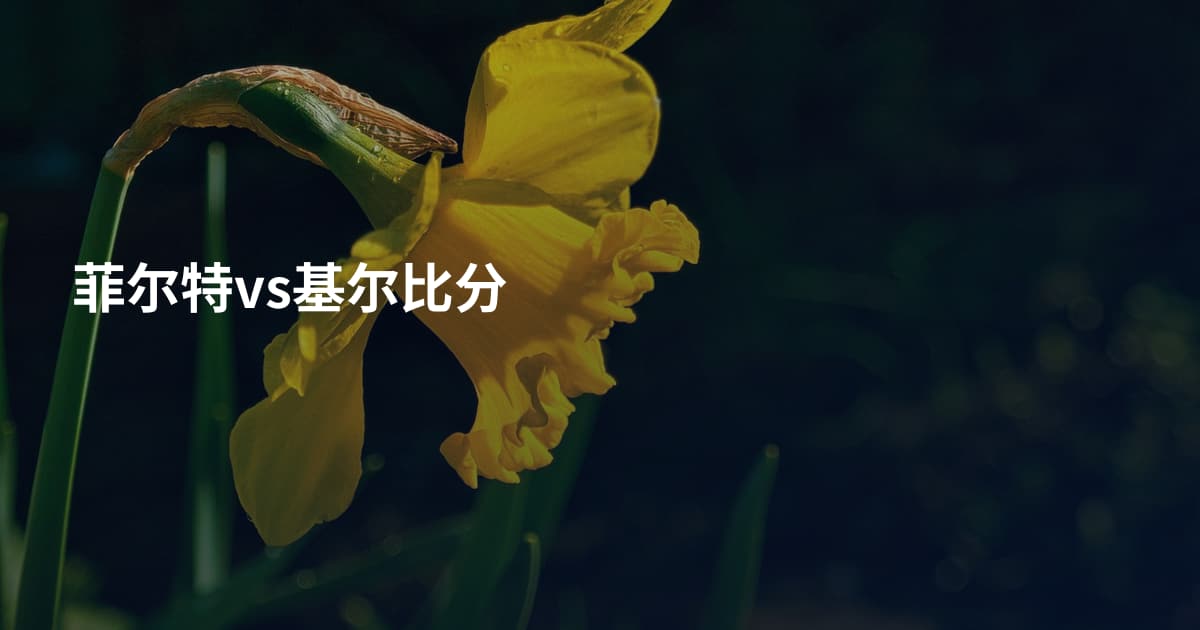 菲尔特vs基尔比分