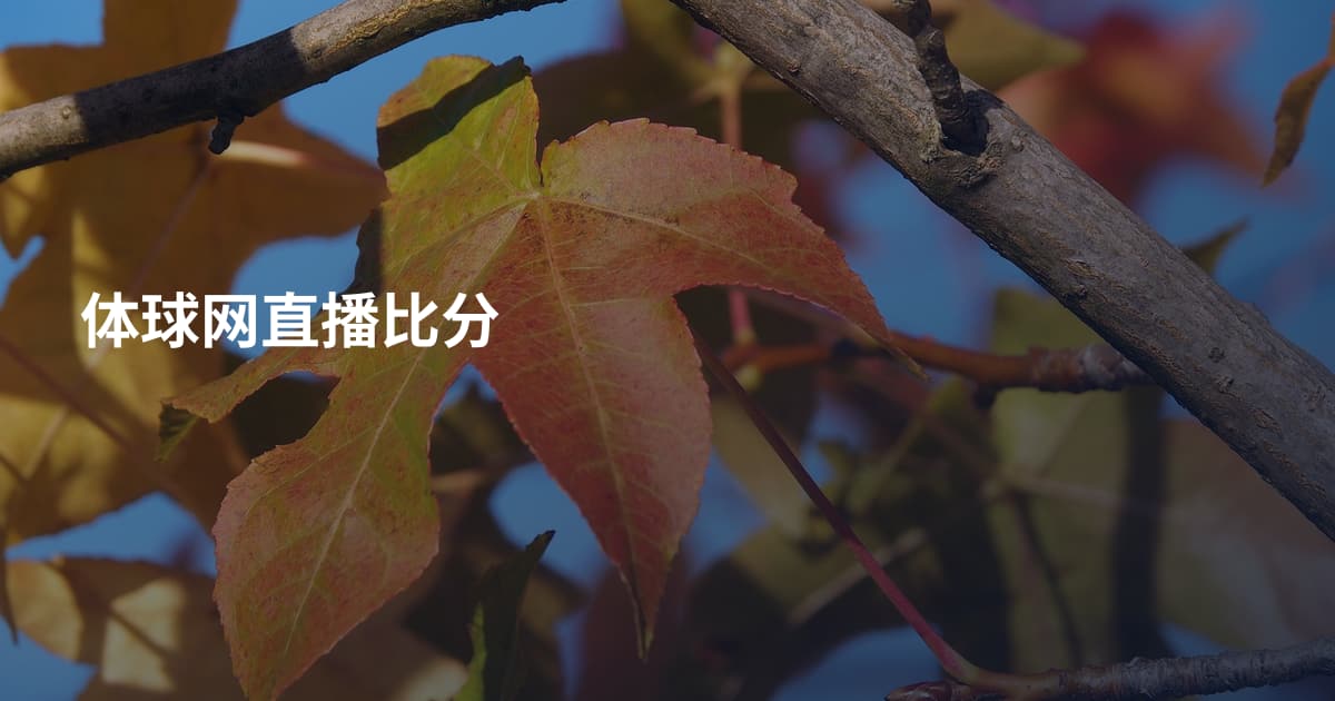 体球网直播比分
