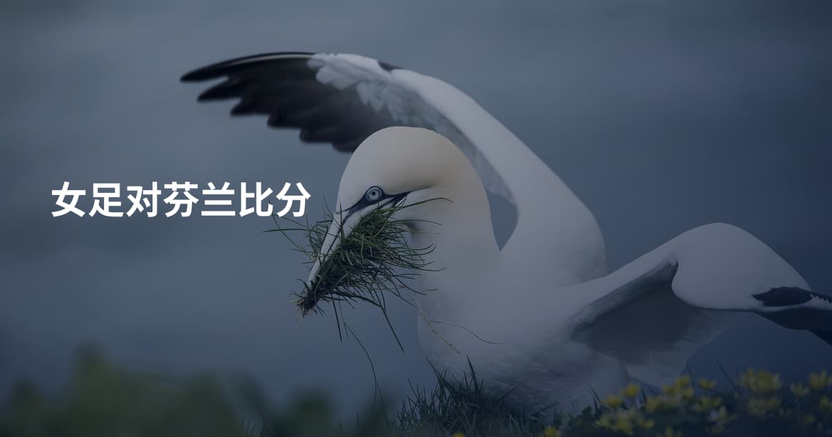 女足对芬兰比分