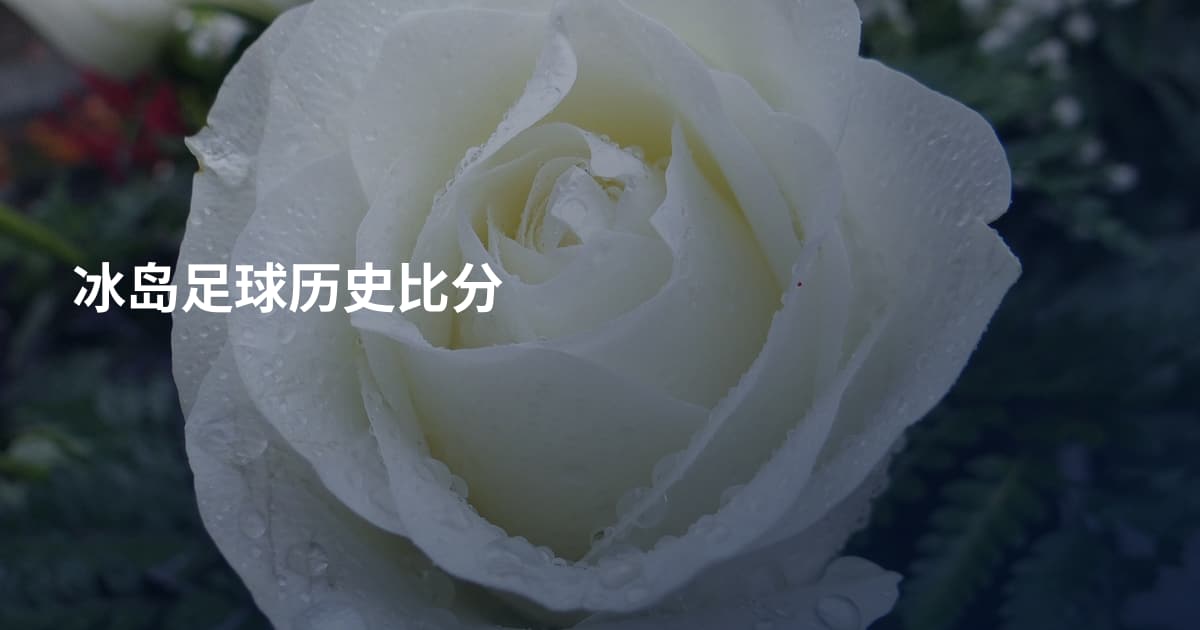 冰岛足球历史比分