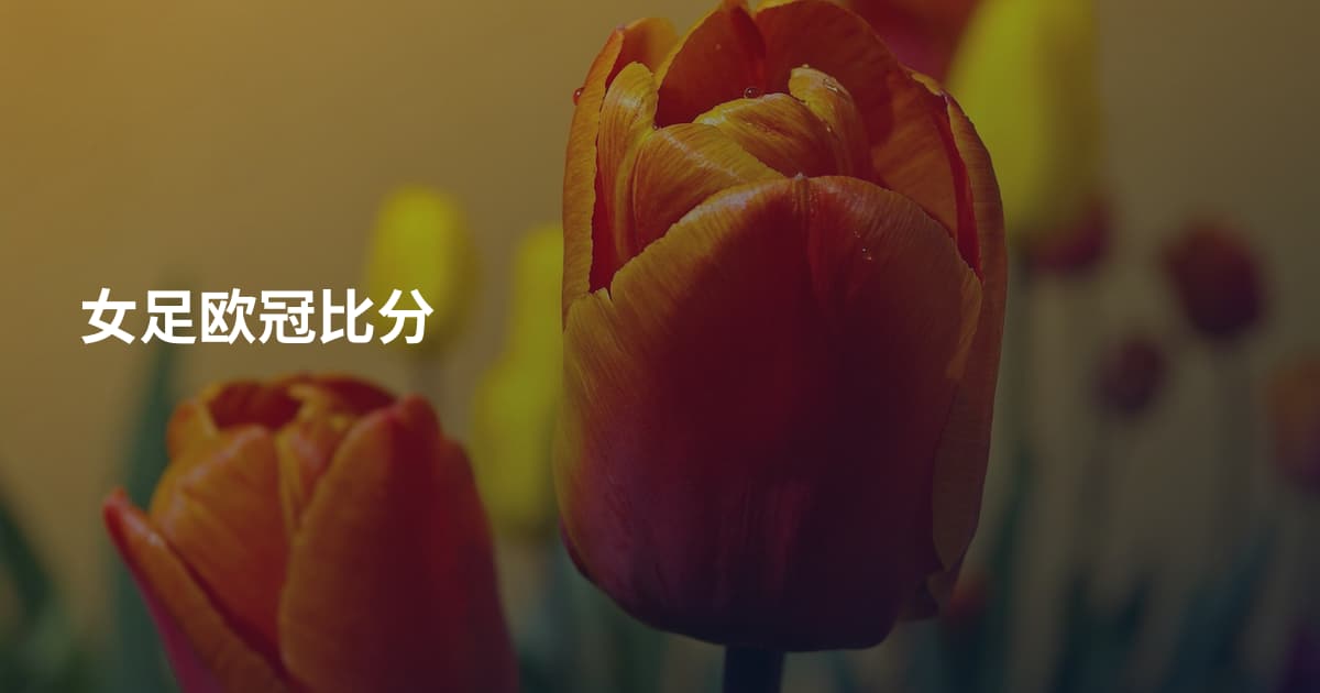 女足欧冠比分
