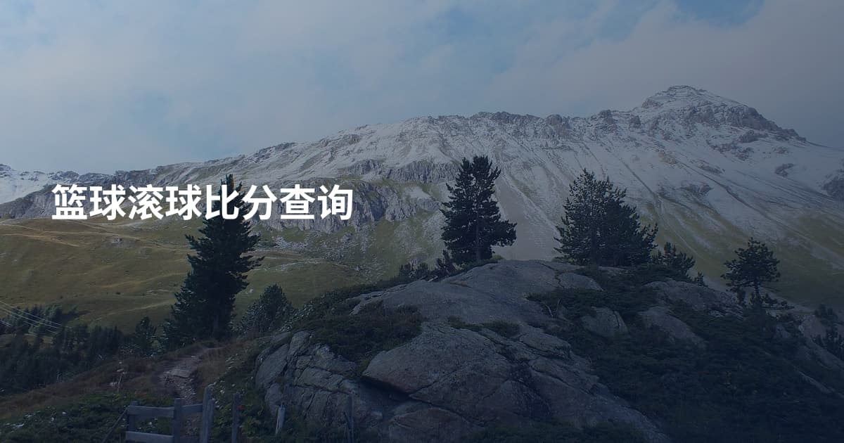篮球滚球比分查询