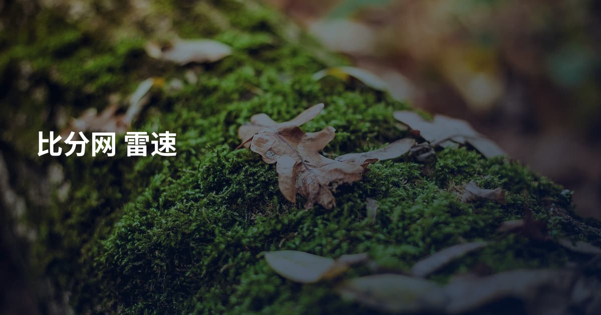 比分网 雷速