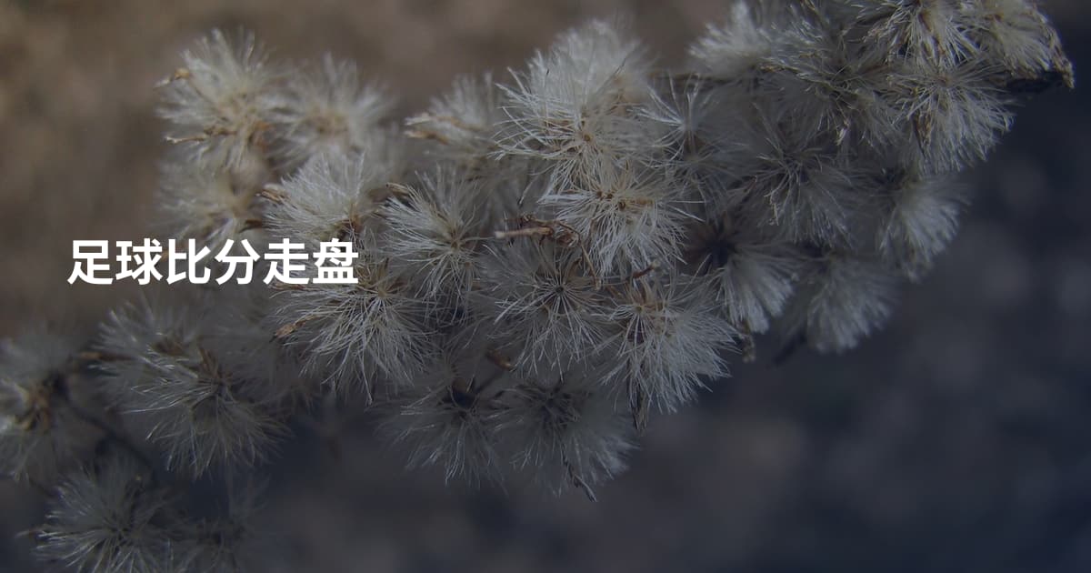 足球比分走盘