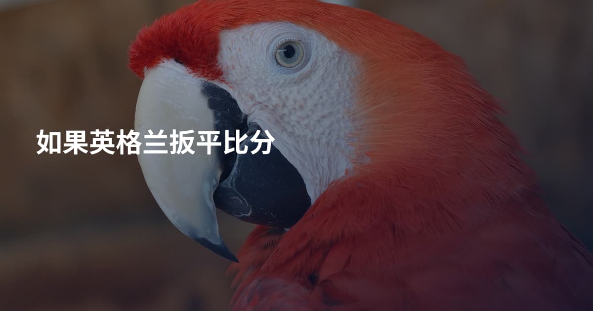 如果英格兰扳平比分