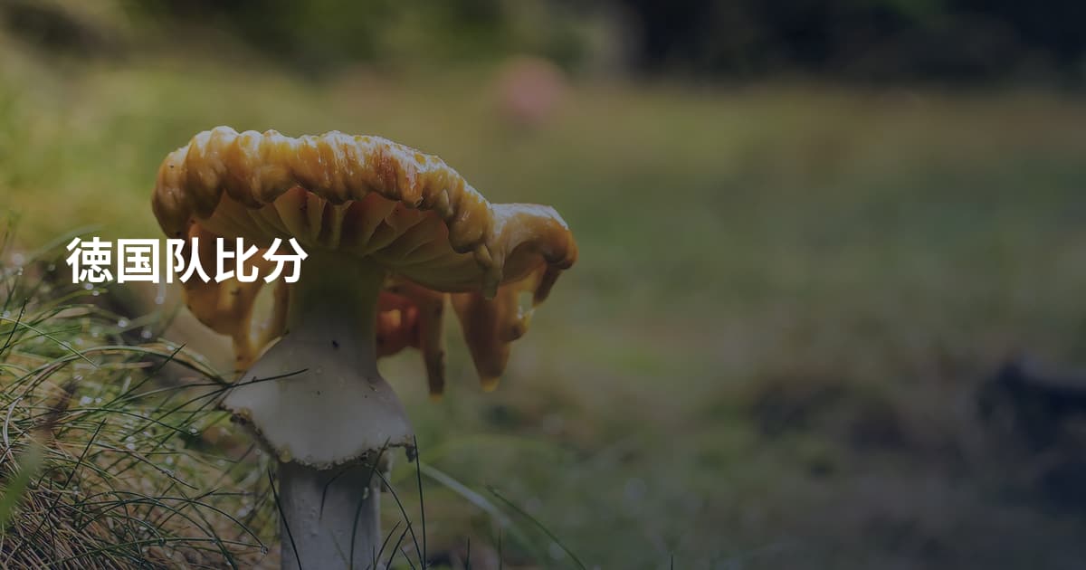 徳国队比分