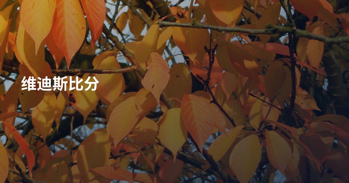 维迪斯比分