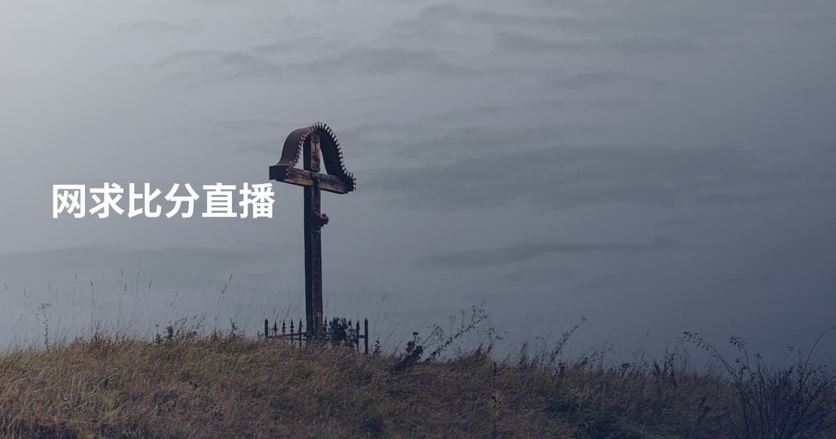 网求比分直播