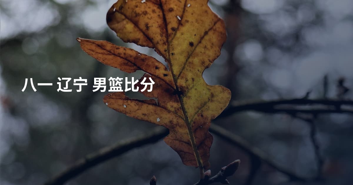 八一 辽宁 男篮比分