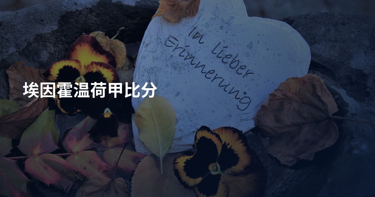 埃因霍温荷甲比分