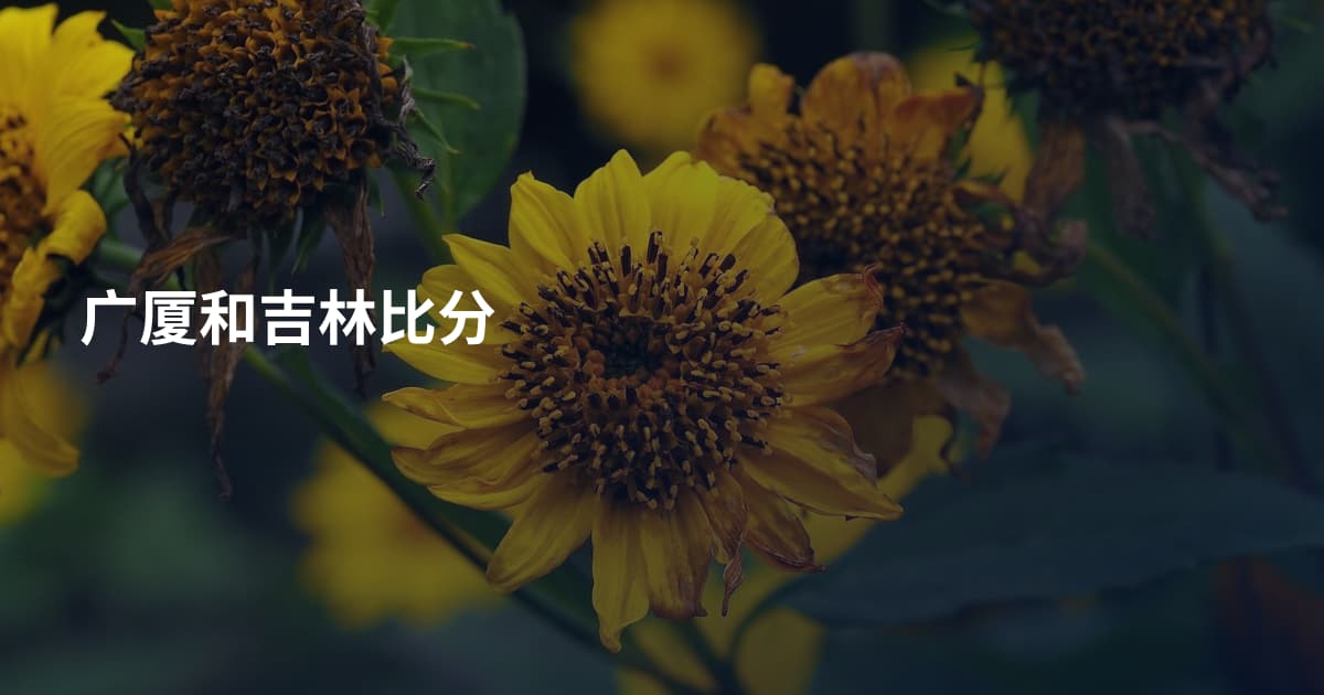 广厦和吉林比分