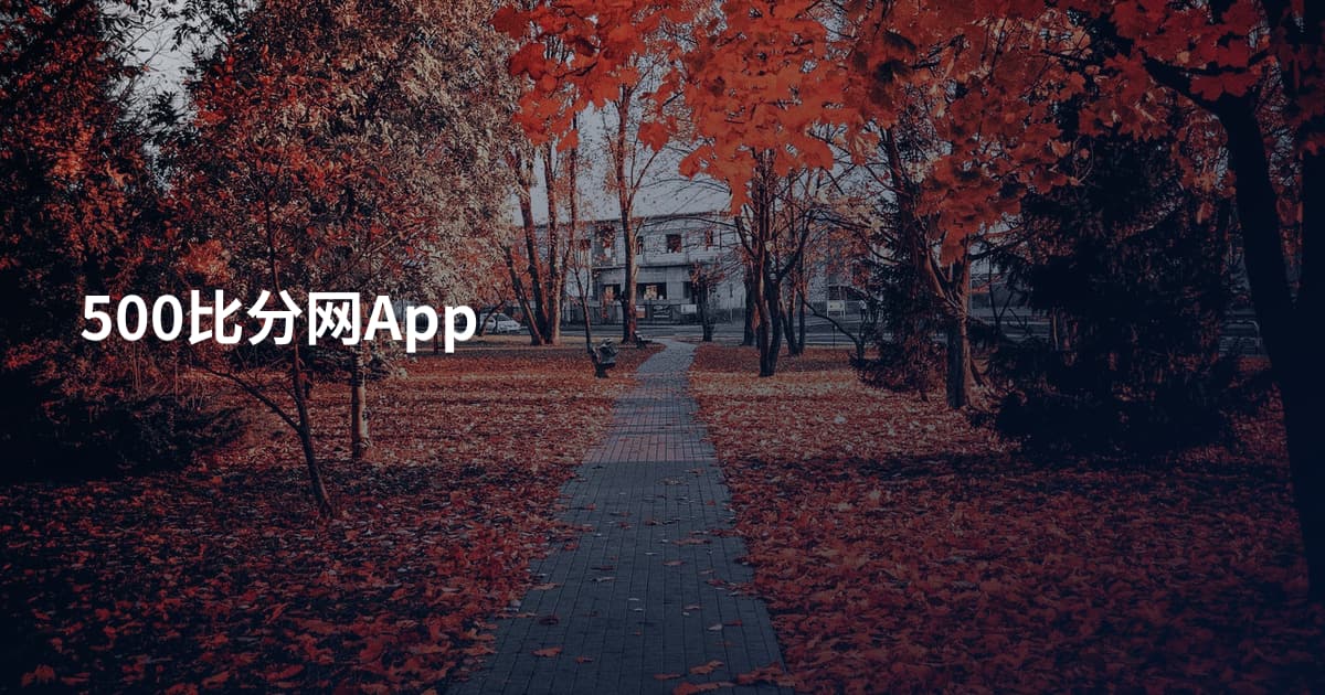 500比分网App