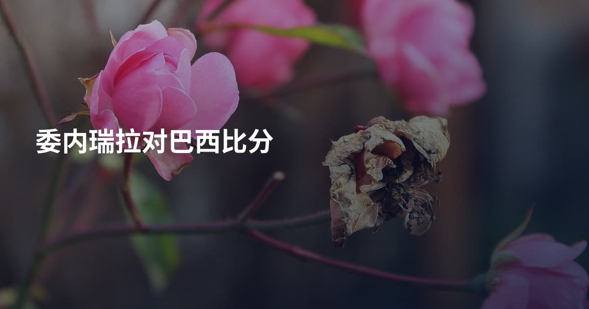 委内瑞拉对巴西比分