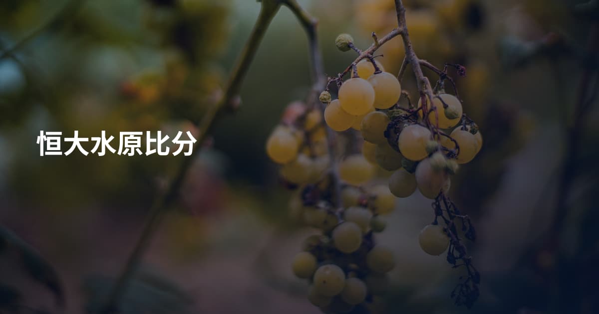 恒大水原比分