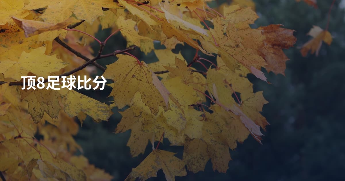 顶8足球比分