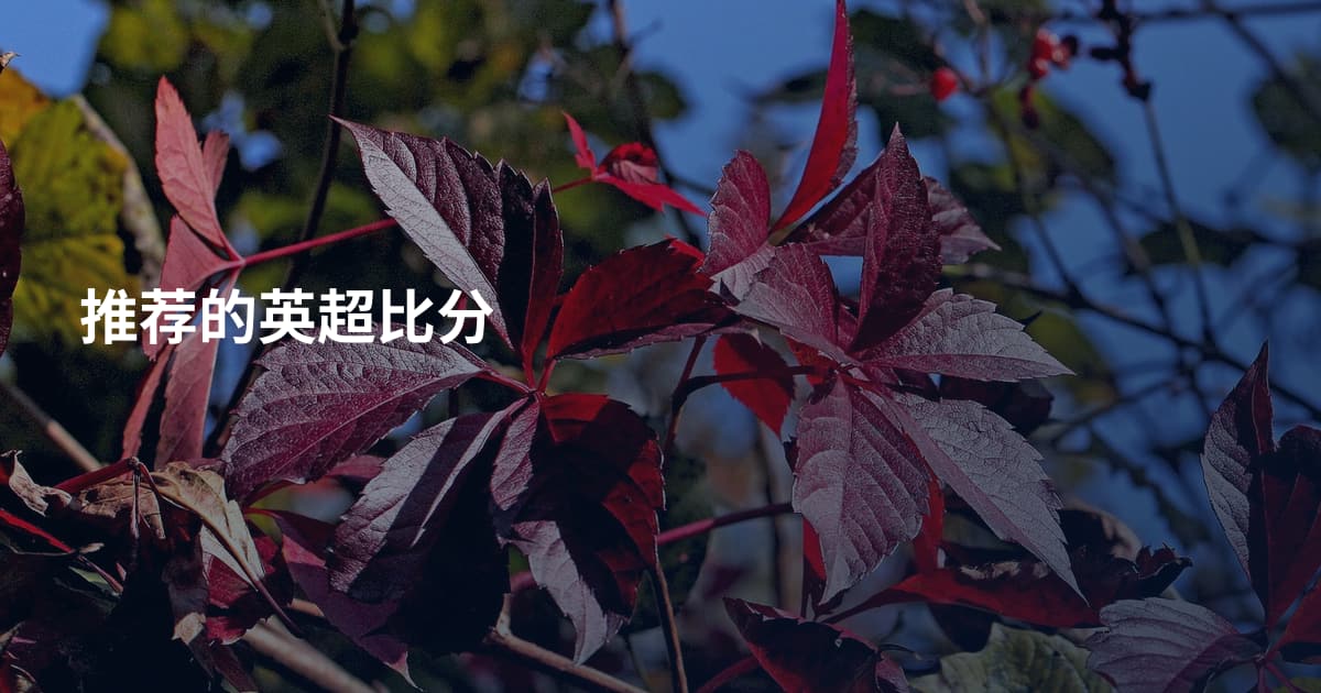 推荐的英超比分
