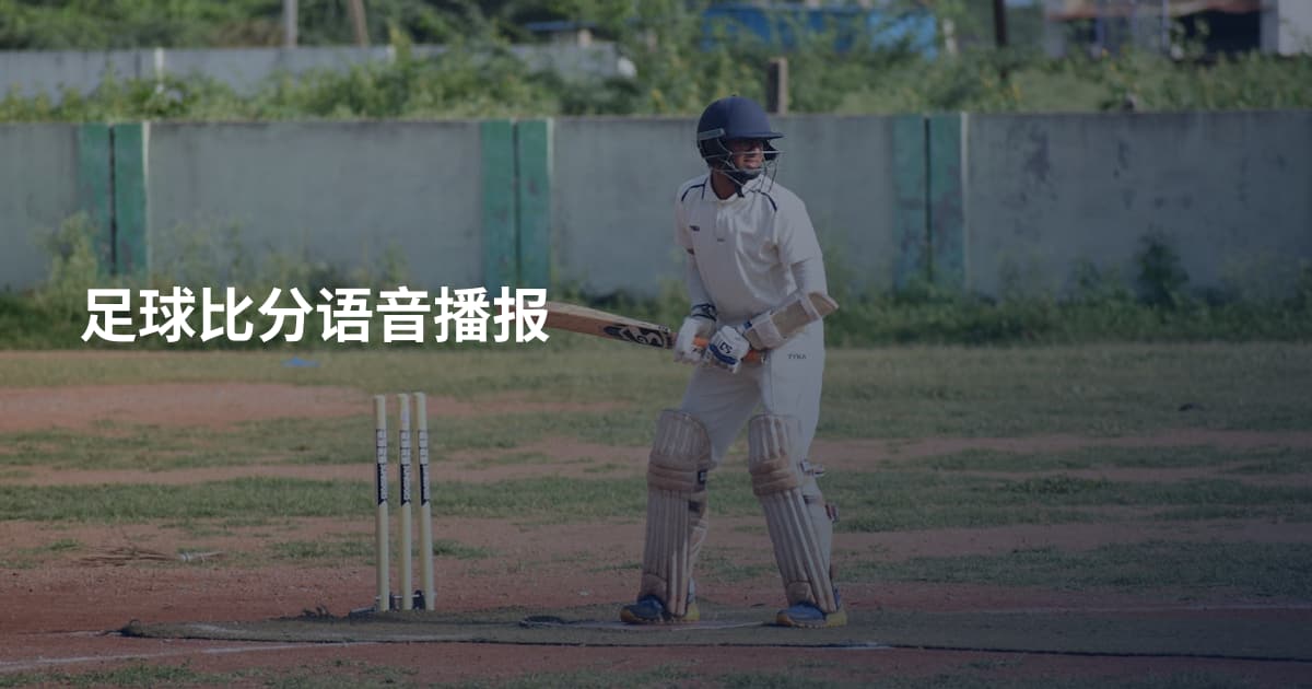 足球比分语音播报