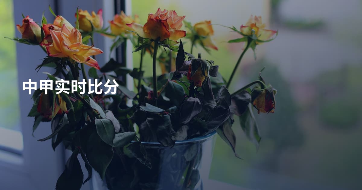 中甲实时比分