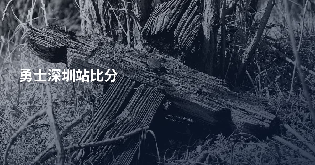 勇士深圳站比分