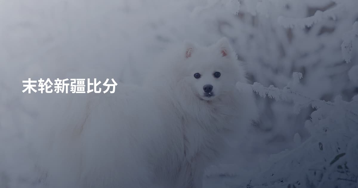 末轮新疆比分