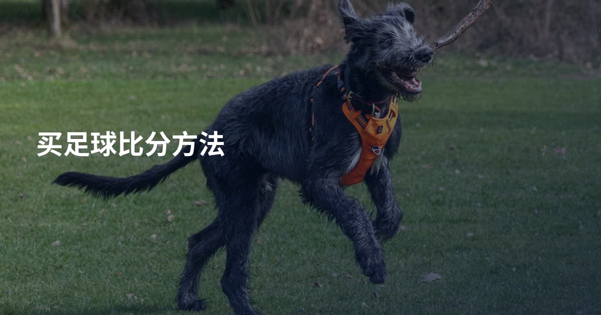 买足球比分方法