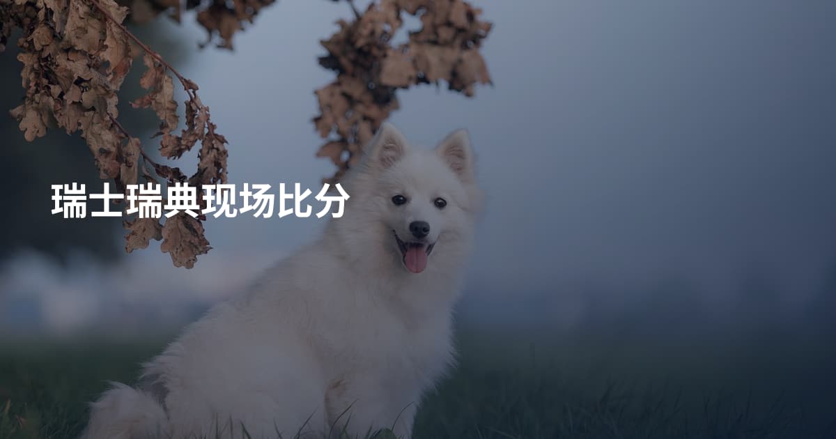 瑞士瑞典现场比分