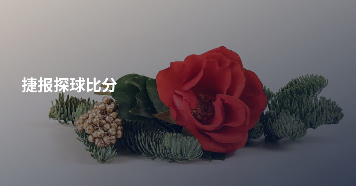捷报探球比分