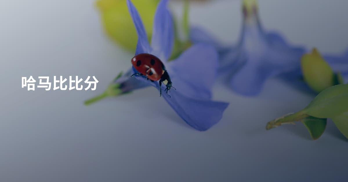 哈马比比分