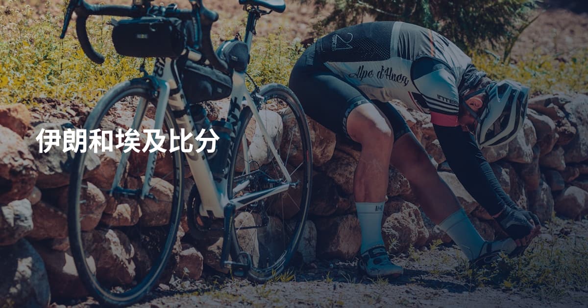 伊朗和埃及比分