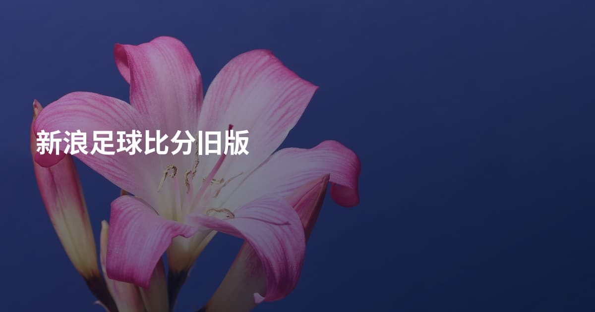 新浪足球比分旧版