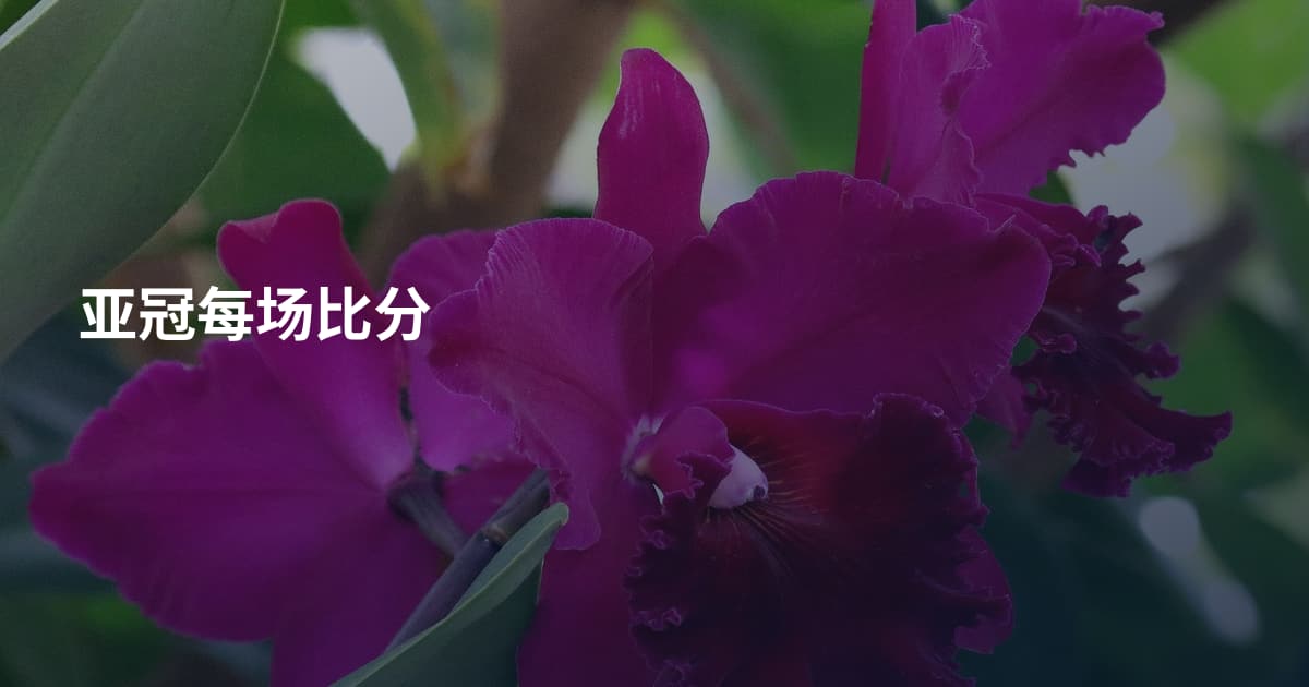 亚冠每场比分