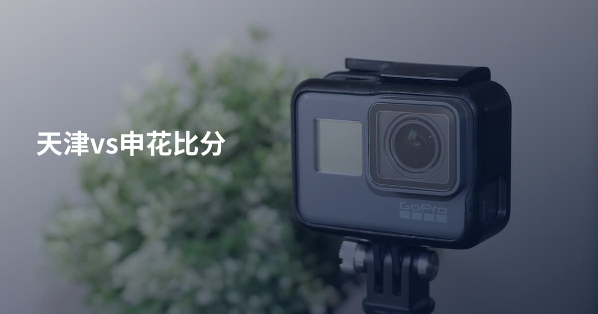 天津vs申花比分