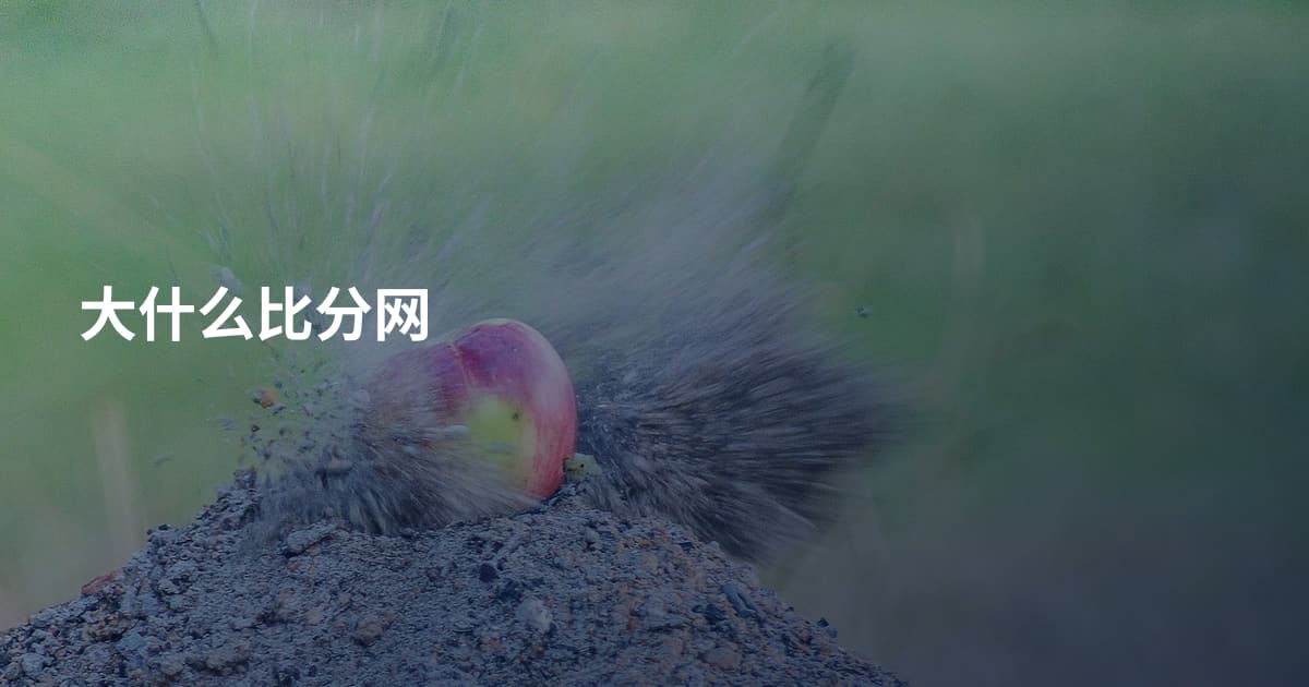 大什么比分网