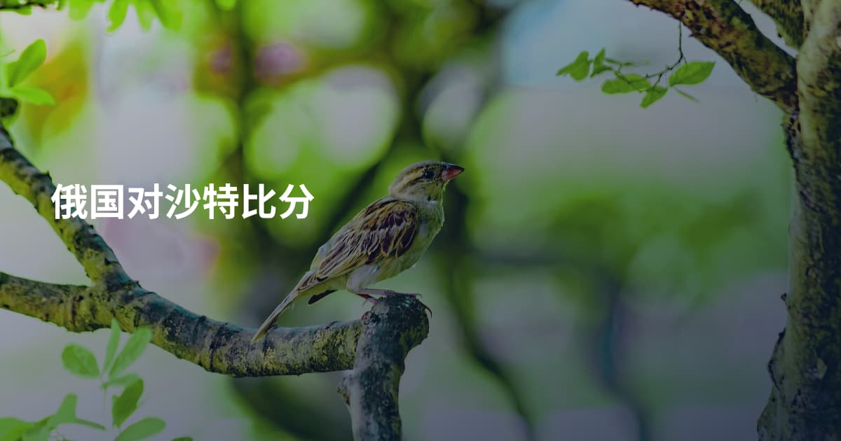 俄国对沙特比分