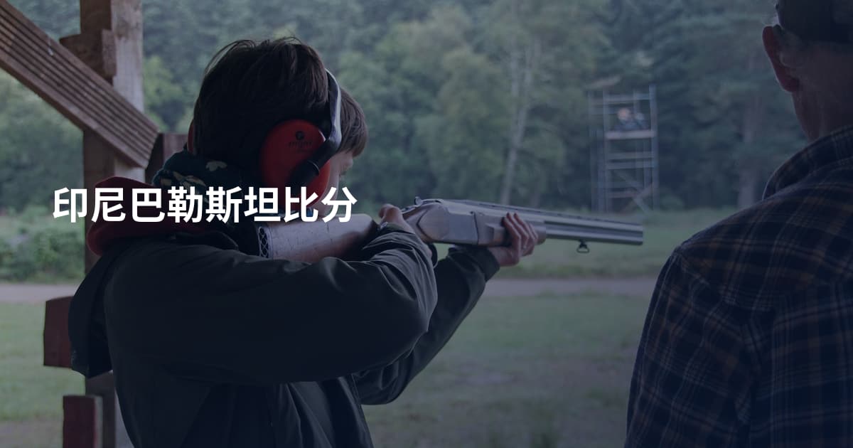 印尼巴勒斯坦比分