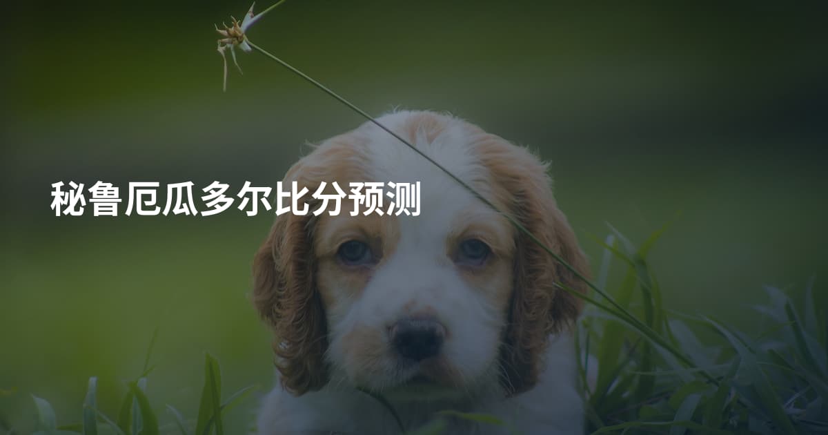 秘鲁厄瓜多尔比分预测